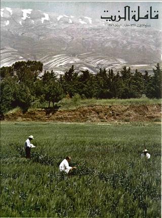 القافلة